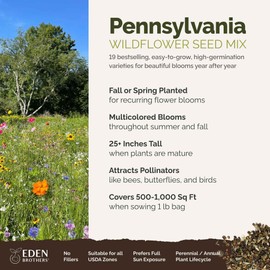 Eden Brothers Pennsylvania Wildflower Mixed Seeds for Planting, 1 lb, 480,000+ Seeds with Coreopsis, Lupine | Attracts Pollinators, Plant in Spring or Fall, Zones