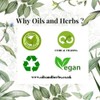 Clean Organic Ginger Powder - Zingiber officinale -100% Pure and