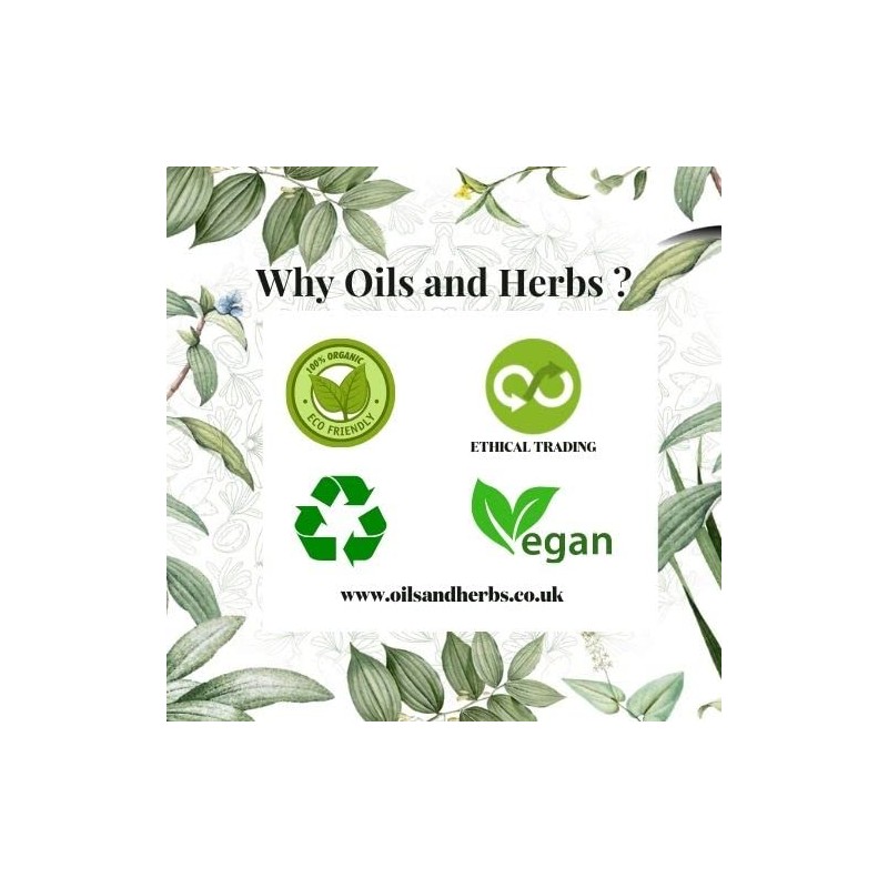 Clean Organic Ginger Powder - Zingiber officinale -100% Pure and