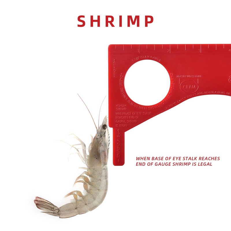 A1FISHER Dungeness Crab Gauge Measure with Ruler Multi Shrimp Clam