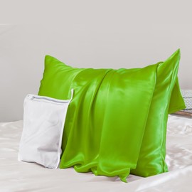 PROMEED Grade 6A+ Silk Toddler Pillow Case 13x18, Both Sides Premium Natural 23 Momme Mulberry Silk Pillowcase with Zipper, Free Laundry Bag (1pc, Green)