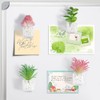 rhinocats 3D Plant Fridge Magnet, 4Pcs Cute Succulent Magnets for