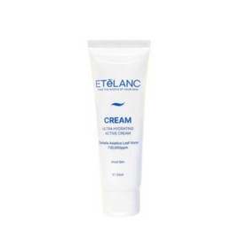 Ételan Etelang Water Cream Ultra Hydrating Active Moisturizing Cream 50ml / 에텔랑 물크림 울트라 하이드레이팅 액티브 수분크림 50ml