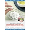 Konpeito Japanese Traditional Sugar Confections Petit Rainbow 15 Pieces pack