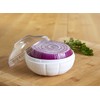 IMUSA USA IMU-71206 Onion & Garlic Saver/Container with Clear Cover,