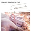 Pig Midwifery Set Tools Stainless Steel Livestock Pig Midwifery Rope
