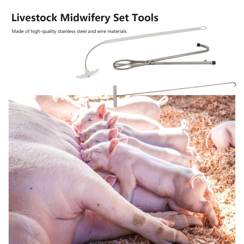 Pig Midwifery Set Tools Stainless Steel Livestock Pig Midwifery Rope