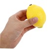 Alasum Fruit Maracas Musical Instrument Kids Percussion Shaker Lemon Shape