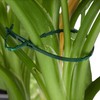 Relaxdays Plant Growing Supports, Stable Plant Clips, Twist Ties, Binding