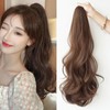 HAPVITAL Ponytail Point Wig, Curly Long, Ponytail Wig, Curly Hair,