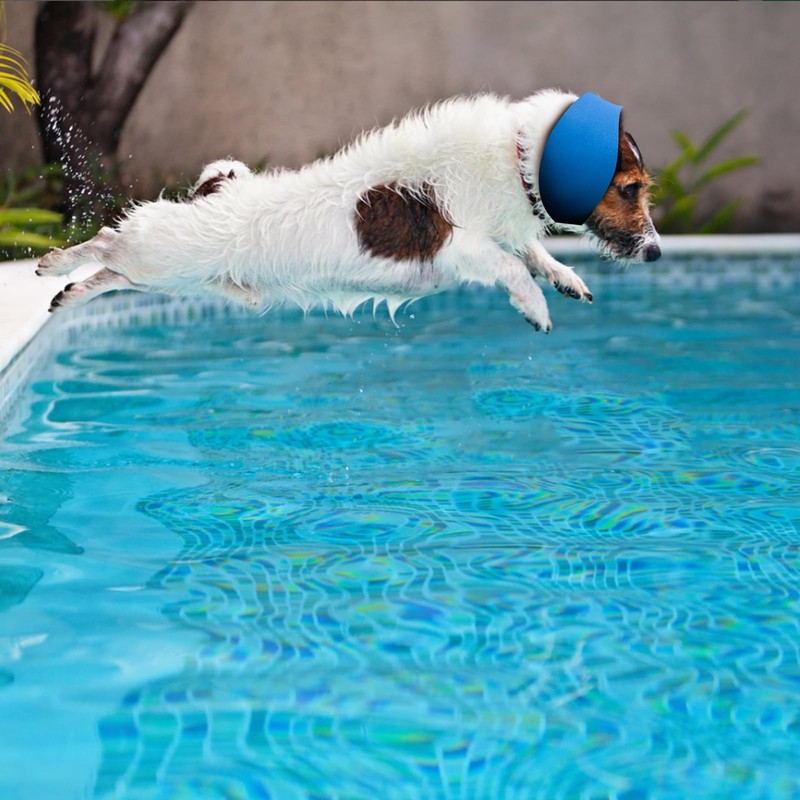 3 PCS Dog Swim Cap Waterproof Rubber Ear Covers 3