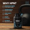 NAD Nicotinamida Adenina Dinucleótido High Performance Nutrition 100ml