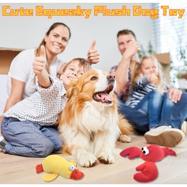 JKW Squeaky Dog Toy for Small & Medium Dogs, Puppy Plush Toys (S, Lobster)