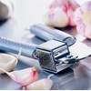Fissler Magic Accessories Garlic Press, Stainless Steel