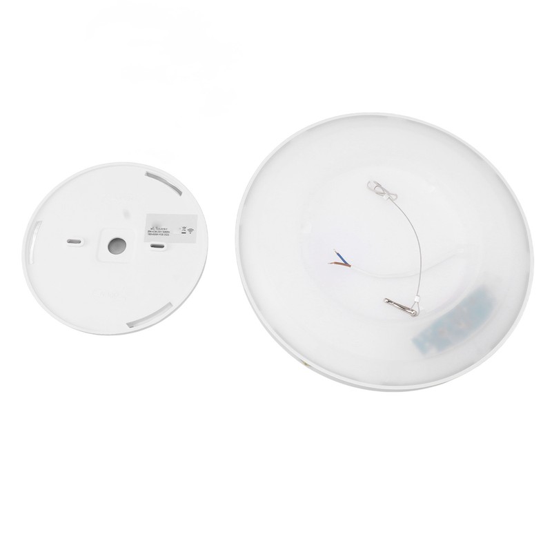 Smart Ceiling Light WiFi 25W Cold and Warm Light RGB