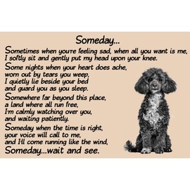 Black Poodle Dog Memorial pet loss Fridge Magnet Gift - Someday