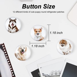 FuninCrea Magnetic Fridge Stickers, Pack of 12 Glass Colourful Cute Dog Fridge Magnet White Board Magnet Stickers Applicable to Fridge Decoration (D)
