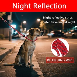 Slip Rope Dog Lead, 2m,No Collar or Harness Needed,Strong Nylon Leash with Reflective Stitching for Small Medium Large Dogs with Waste Bag Dispenser Hook(Red)