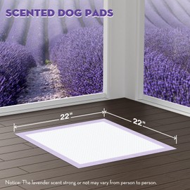 CROCI Puppy Pads 22x22 Inches Lavender Small , Dog Pads Scented with Adhesive Tabs Odor Eliminating, Absorbs Up to 3 Cups of Liquid, Disposable (100 Counts)