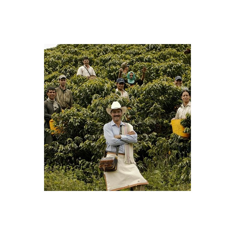 Juan Valdez | Café Soluble Liofilizado Orgánico de Colombia |
