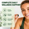 Greens Gummies, Green Supplements with Multivitamins & Minerals | Sugar