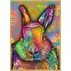 Rabbit Bunny Colorful Wildlife Pop Art Wood Fridge Kitchen Magnet