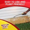 Iron OUT Outdoor Rust Stain Remover, Removes Rust Stains from