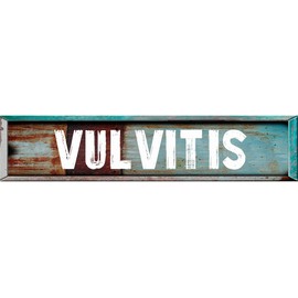 ANY AND ALL GRAPHICS Vulvitis 4"x18" Teal Rectangle Weathered Rustic Rusty Painted Look Novelty décor Composite Aluminum Beach Cottage Sign.