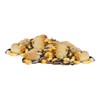 BestNest Critter Snack Seed Mix, 10 lb Bag | Blend