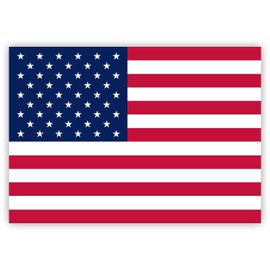 HouseholdBasics 10 x USA American Flag Stickers 2.9" x 2.05" for Indoor and Outdoor Use