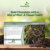 Outsidepride Chocolate Mint Coleus Seeds for Planting - 20 Pcs