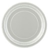 Luncheon Napkins 20 ct.Silver,13"