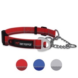 Reaction Martingale Collar For Dogs | Gentle Nylon & Steel Chain Limited Cinch Design Is Perfect For Training | Dual Leash Attachment Points | Durable Quick Release Buckle | Sizing For All Breeds