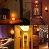 Betus Natural Crystal Himalayan Salt Wall Lamp - Air Purifying