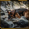 OneTigris Tactical Dog Harness for Large Dogs, Adjustable Tactical Dog