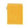 Sterntaler Wash Mitt Ben the Bear, Size: 21 x 15