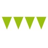 Bunting XL Green 10 metres long, 15 Triangle Flags, Plastic