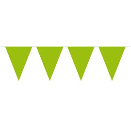 Bunting XL Green 10 metres long, 15 Triangle Flags, Plastic