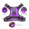 PoyPet 2019 Upgraded No Pull Dog Harness with 4 Snap