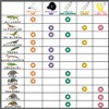 ShiawaseforU Reptile Light, UVA, Daytime Spotlamp, Amphibian Lighting, Natural Sunlight,