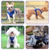 SOLMOONY Small Dog Harness,Soft Mesh Puppy Harness and Leash Set,No
