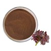 Perilla Extract Powder 100g Sample