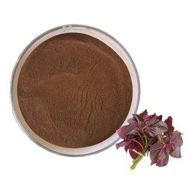 Perilla Extract Powder 100g Sample