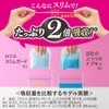 Laurier Slim Guard for Daytime with Wings, 8.1 inches (20.5