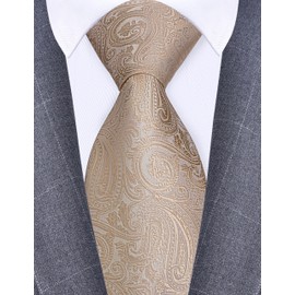 GUSLESON Mens Champagne Tie for Wedding Beige Paisley Necktie (1020-25)