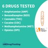 Employee Saliva Drug Testing Kits ~ 6 Panel Rapid Workplace