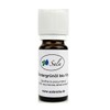 Sala Wintergreen Essential Oil Natural Organic (10 ml)