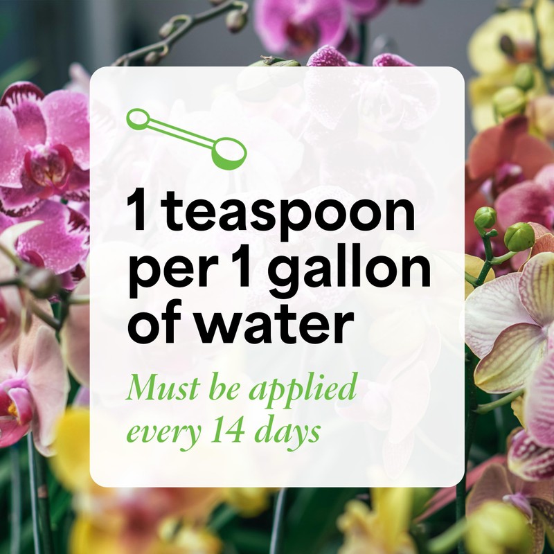 Grow More Premium Growth Formula 30-10-10 Orchid Food Fertilizer -