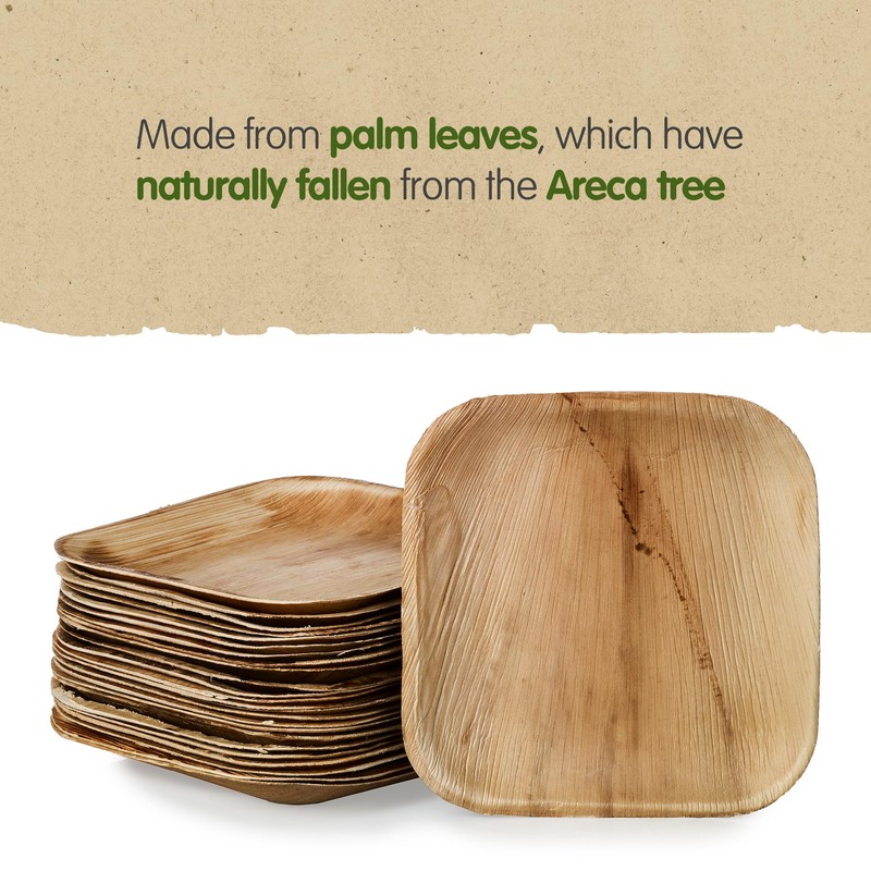 Signature Packaging - Disposable Palm Leaf Plates - Sturdy, Medium