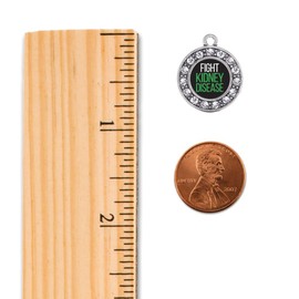 Inspired Silver - Fight Kidney Disease - Silver Christmas Ornament - Circle Charm Christmas Tree Ornament with Cubic Zirconia - Holiday Hanging Decoration